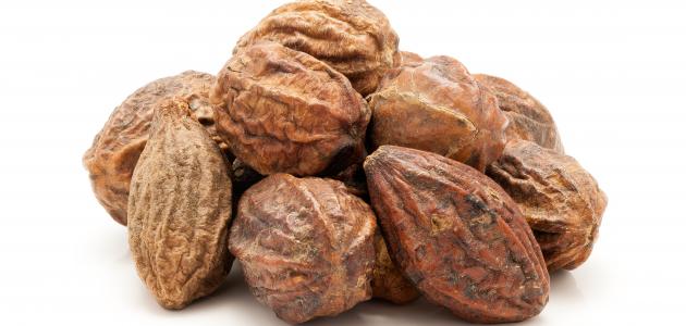 بلح كابلى - حمزة العطار