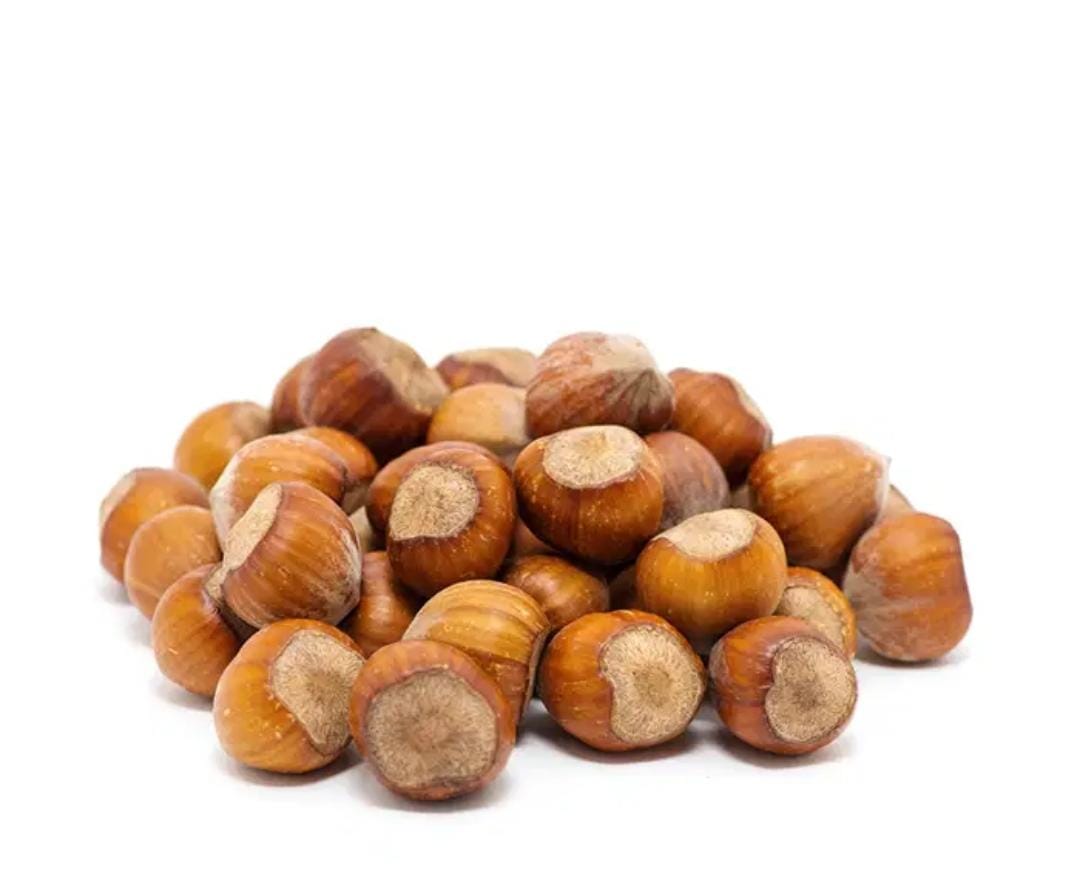 بندق حصى - حمزة العطار