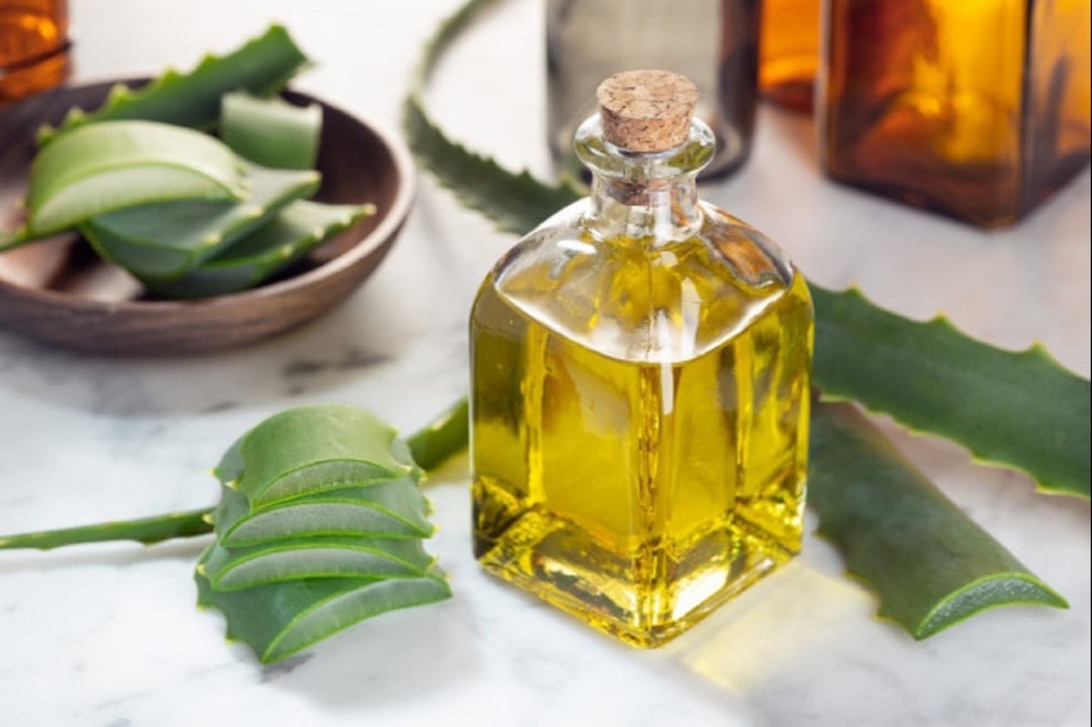 زيت صبار طبيعي - حمزة العطار