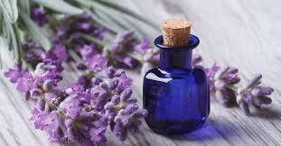 زيت لافندر عطرى - حمزة العطار