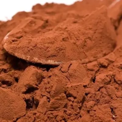 كاكاو اسبانى - حمزة العطار