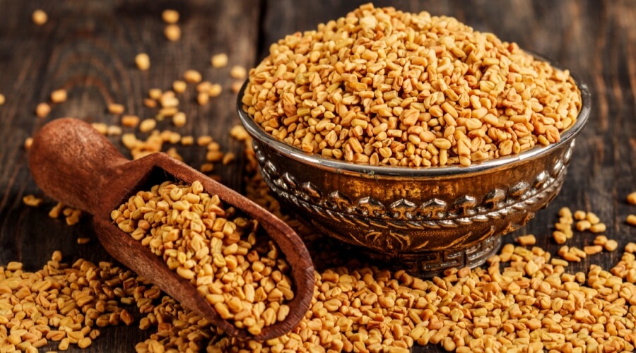 حلبة حصى - حمزة العطار