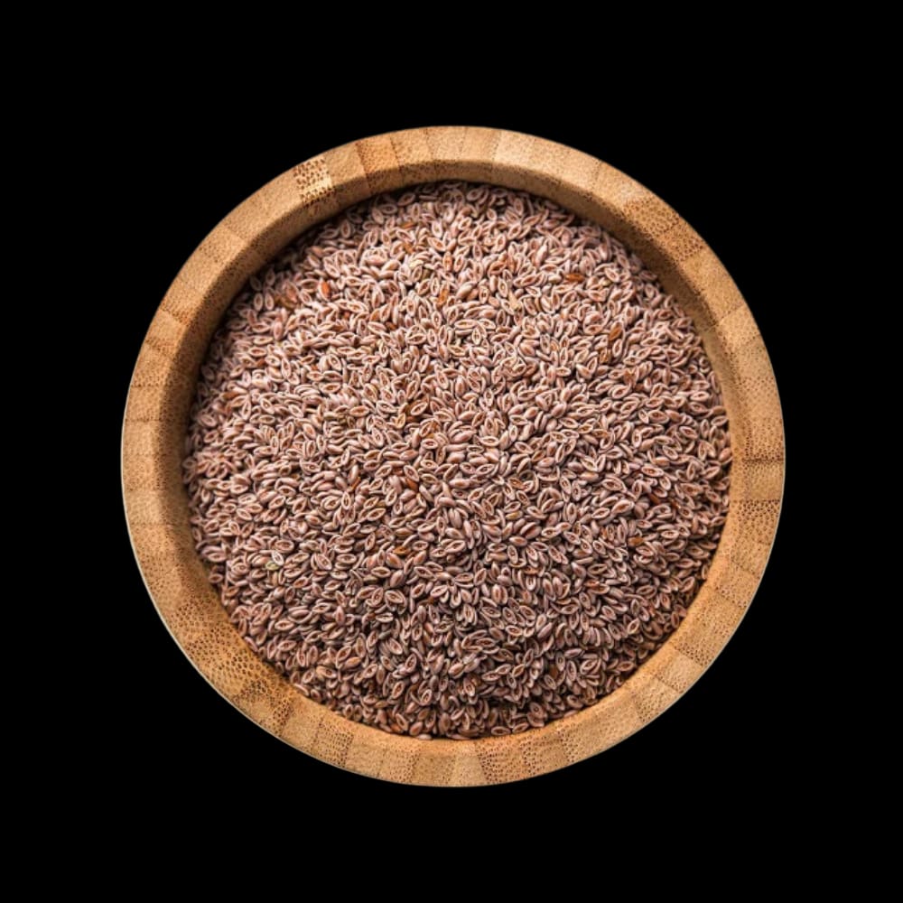 بذر قطونة - حمزة العطار