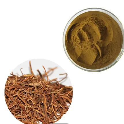 جنطيانا مطحونة - حمزة العطار