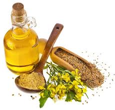 زيت خردل طبيعى - حمزة العطار