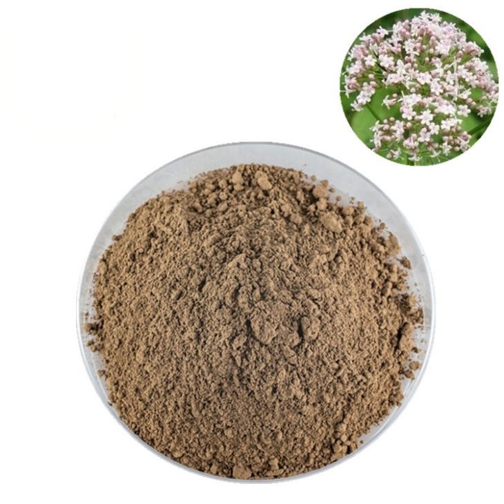 فاليريانا ناعمة - حمزة العطار